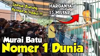 Murai Nomer 1 Dunia ‼️ Datang ke Prasasti Sikat 1 Unit Motor