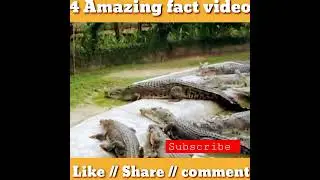 #4Amazing fact video// #Lalsingh jatta motivational speaker leadership consultant besiness coach 🙏🙏🙏