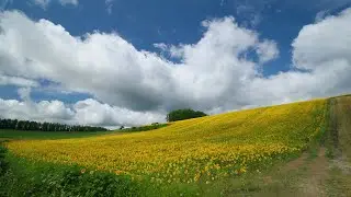 【4K】北海道の写真集（Hokkaido Photo 2006-2019)