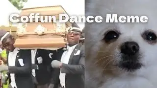 Astronomia - Coffin Dance Meme Song(Dog Cover)