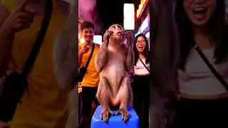 Monkey in Backpack Tries Spicy Food, Instantly Regrets It 🔥🐒