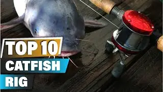 Best Catfish Rigs In 2025 - Top 10 Catfish Rig Review