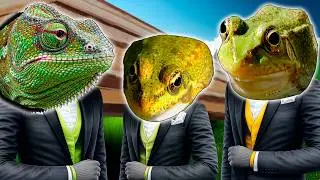 FROG COFFIN DANCE 🐸⚰️ Chameleon Beat (FL Studio Project / OBS)