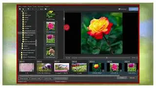 Применение стиля.PTE AV Studio