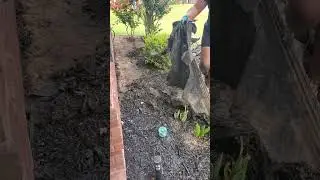 Removing weed barrier fabric from my garden #shorts