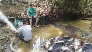 Unique Fishing Video - Catching Fish With Pump, Cleverly use the pump to suck water in the wild lake