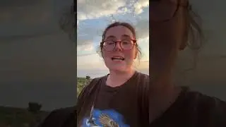 Volunteering at the DrDolittle Sanctuary in Greece -  Testimonial from Tanya, Ireland