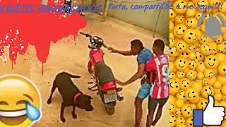 Videos Engra&ccedil;ados #233 #bestofmemes #comedy #com&eacute;dia #funnyviral #short #shorts #FunnyVideos #memes
