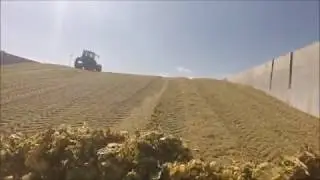 GoPro insilato mais 2016 cantiere stoccaggio  Az.Agr. Cazzaro