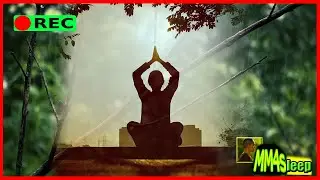🔴 Zen music with Rain sounds - 10 Hours