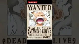 FAKTA POSTER BURONAN LUFFY | FUN FACT OP #4