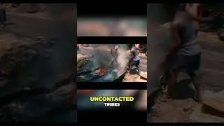 Jungle Expedition: When Adventure Turns Into Deadly Danger!
