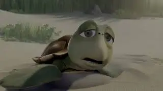 Lost turtle baby