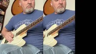 2019 American Pro Telecaster w/Fralins