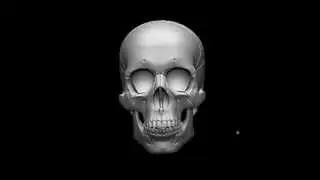 3D Skulls (Kit 3, PRO) via 3DKitbash.com - Duck, Human, Warthog plus more!