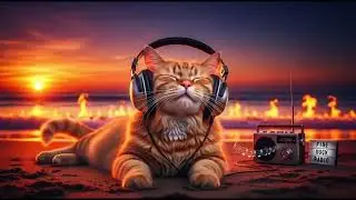 Relaxing Music Sleep For Cat Anxiety Relief Music For Cats And Soothe Your Cat With Our Relaxation
