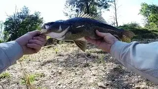 Mid North Coast Bass Fishing