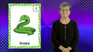 How to sign SNAKE in American Sign Language (ASL) - SignTasTic! Card Game Video Dictionary