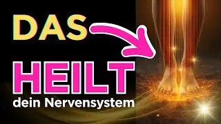 Das unterschätzte Geheimnis für Heilung: Warum dein Nervensystem deine Füße braucht