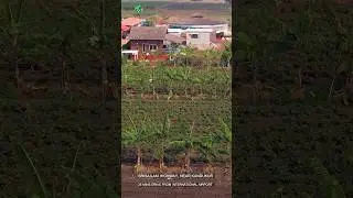 Welcome to Planet Green, where sustainability is not just a concept but a way of life.#planetgreen