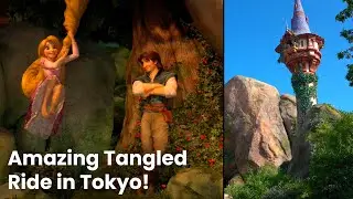 The Most Beautiful Dark Ride Ever - Rapunzel's Lantern Festival POV Tangled Ride at Tokyo DisneySea