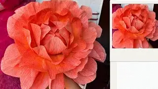 DIY Giant Dahlia Flower made from Crepe Paper | Handmade | Easy Tutorial #diy #craft  