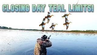 EARLY TEAL PUBLIC LAND DUCK HUNTING LIMITS!
