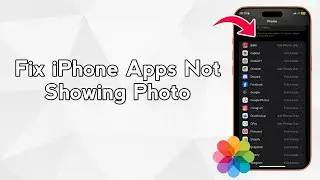 Исправлена ​​ошибка, из-за которой приложения на iPhone не отображали фотографии (решение проблем...