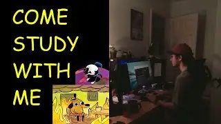productive co-working stream! &sub;((&middot;&perp;&middot;))&sup; pomodoro 50/10 [2025-08-18]
