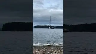Big Sailing Boat Departure Bay 방문 #VancouverIsland #Canada #M5 #Yacht #Cayman Island #shorts#밴쿠버섬