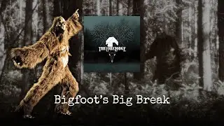 Y'all Did NOT Like Our Patterson-Gimlin Analysis | Podcast Episode 125