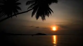 Relaxing Ocean Waves -  A Visual Escape to Calm Your Mind and Soul 🌊