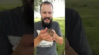 Very Good Knife Company Walkabout | First Impressions @VeryGoodKnifeCompany #knife #blade #shorts