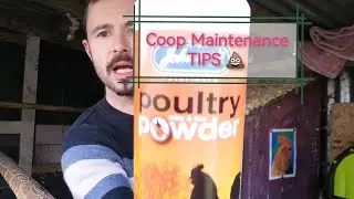 🐔🦆🐥💩🐀Coop Maintenance TIPS, winter preparation 💩 LICE, MICE, FEEDING & More🐓🦆🐔🐥