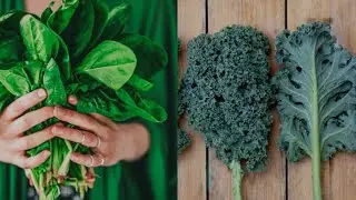 Food for Healthy Lungs