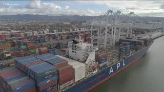 Shipping companies gearing up for chaos as holiday shopping season approaches