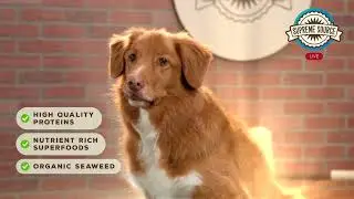 Supreme Source Dog Food | Best In Show Defecation