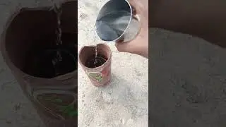My everyday morning routine #birds #feeding #help #ytshort #viral