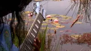 PT @ Lotuslake