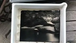 Upper High Falls, Ontario ~ Large Format 8x10 paper reversal print