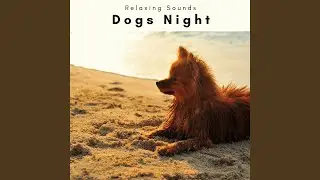 New Age Gentle Dogs Tune for Deep REM Phase