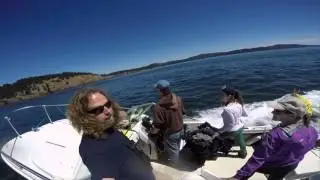 Center for Whale Research Encounter #53 2015