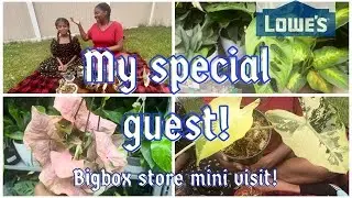 Special Guest Excitement + Lowes Big Box Store Mini Plant Visit