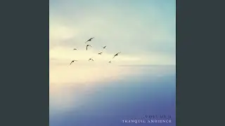 Desert Dune Winds