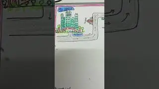 Home to school route map #shorts #shortsyoutube #subscribe for more 🙏🏻#muffinkids mom