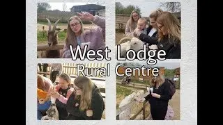 Trip To West Lodge Rural Centre - Day out at the farm