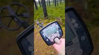 Minelab Safari скоро на полигоне!