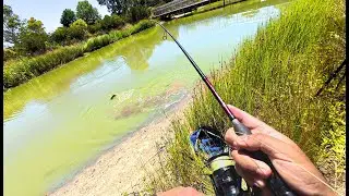 I Found an INSANE Fishing Spot Near Melbourne and Couldn't Believe the Results!