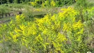 House and Land for Sale Farm 901 NCTR Road Redfield, AR