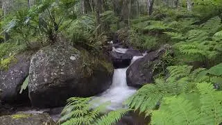 Soul Music. With the sounds of nature. Relaxing music.